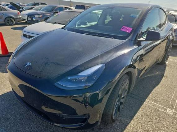 TESLA MODEL Y 2022 7SAYGDEF7NF409224 image